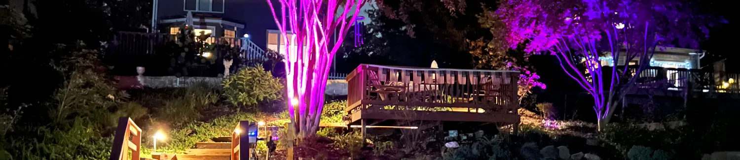 Backyard Lighting Installation