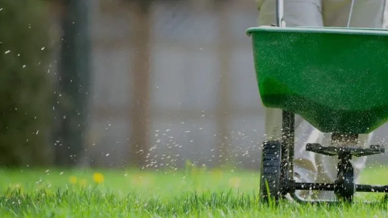 Aeration, Seeding & Top Dressing