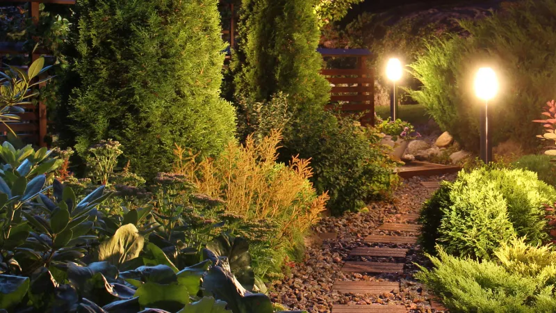 Landscape Lighting