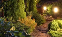 Landscape Lighting